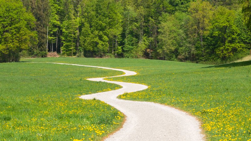 spring-winding-path-web-1